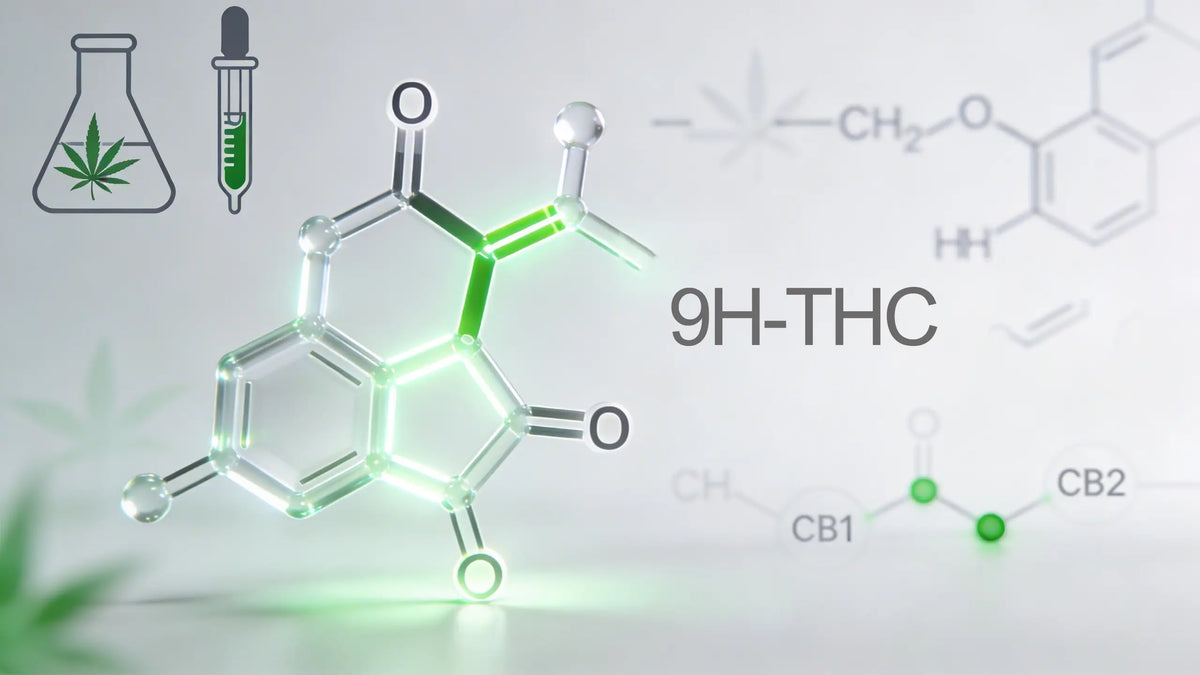 Alles über 9H-THC