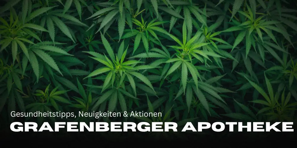 Grafenberger Pharmacy Blog: Health Tips, News & Promotions