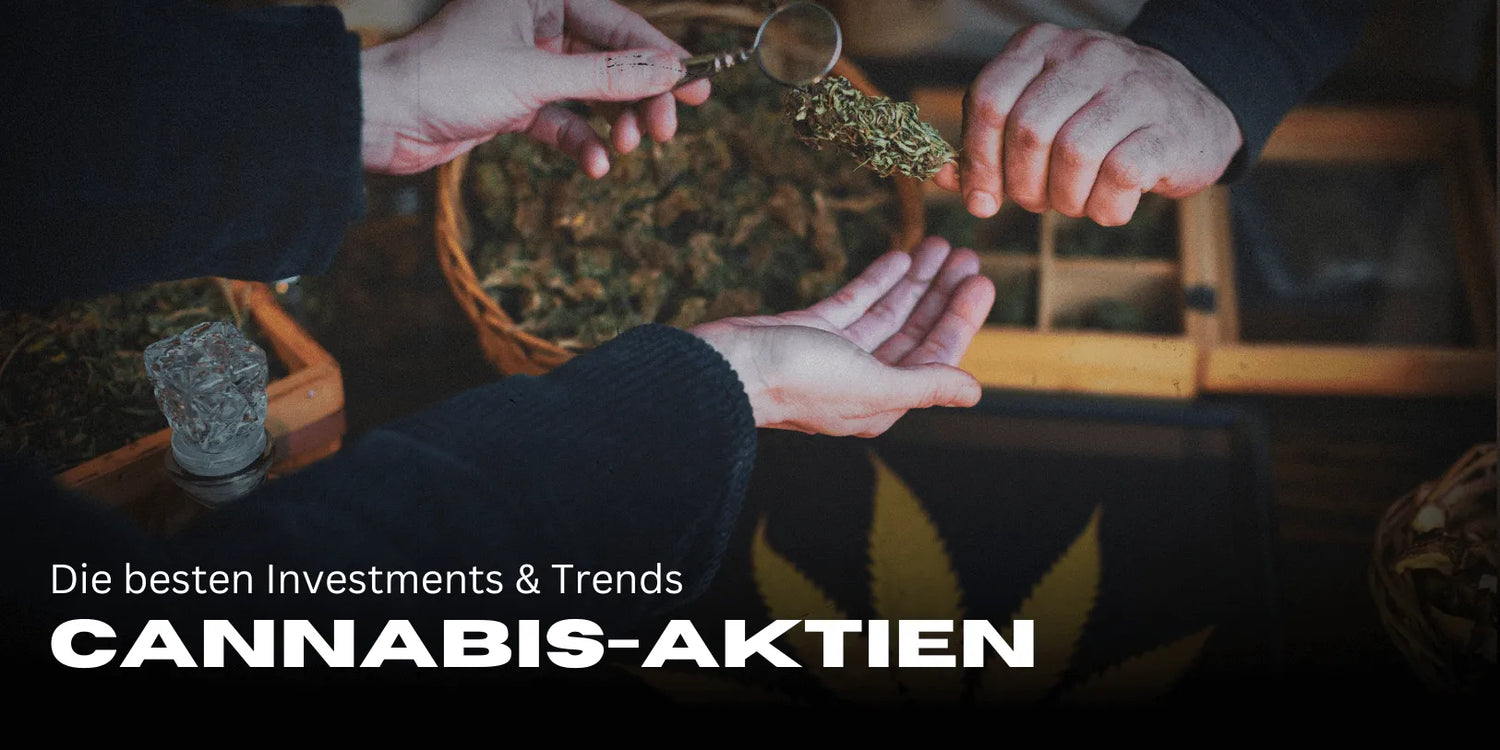 Cannabis Stocks 2025: The Best Investments & Trends 🚀-Smagro GmbH