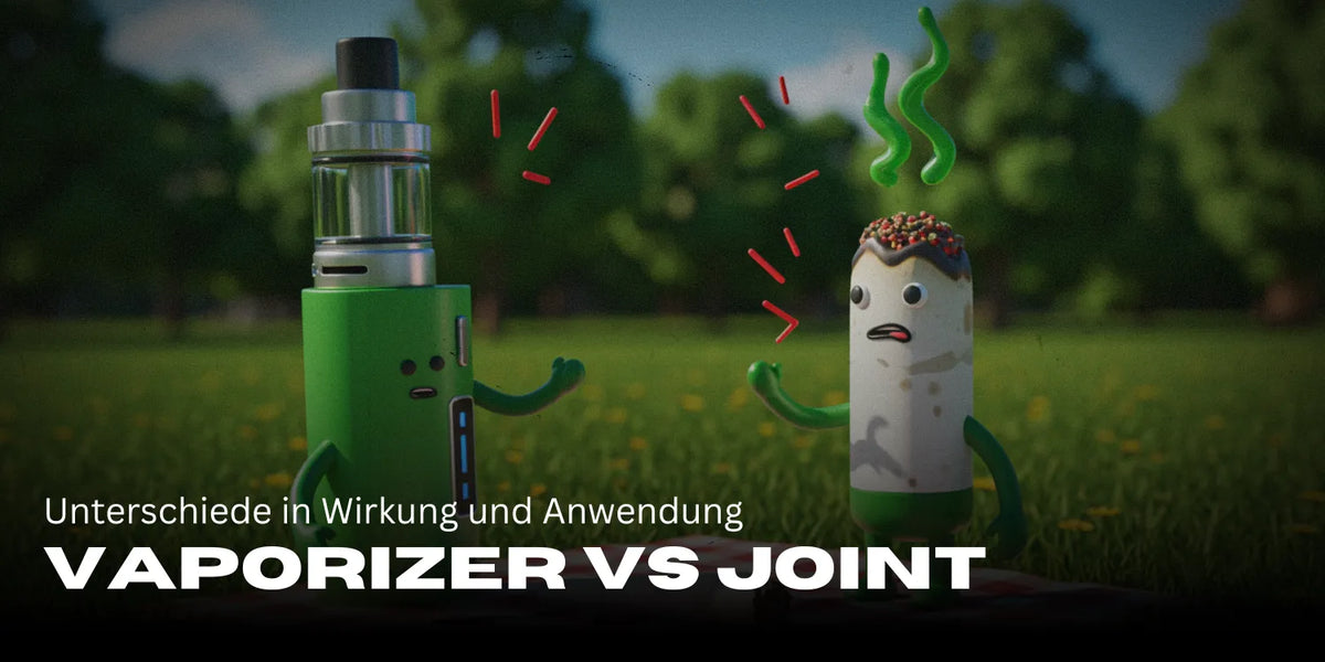 Vaporizator vs Joint: Diferențe în efect și utilizare-Smagro GmbH