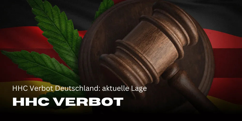 HHC Ban Germany: Current Situation