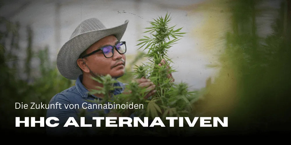 HHC Alternatieven: De toekomst van cannabinoïden