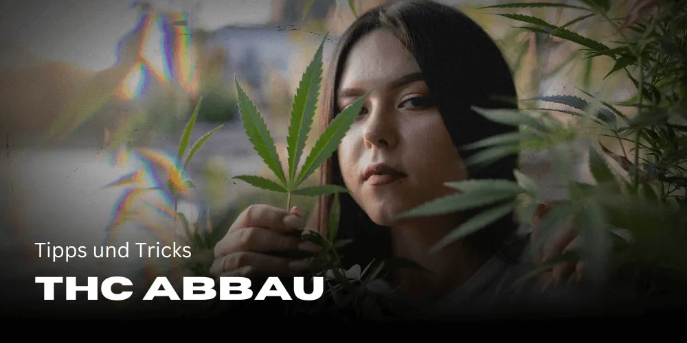 How to Break Down THC Faster: Tips and Tricks