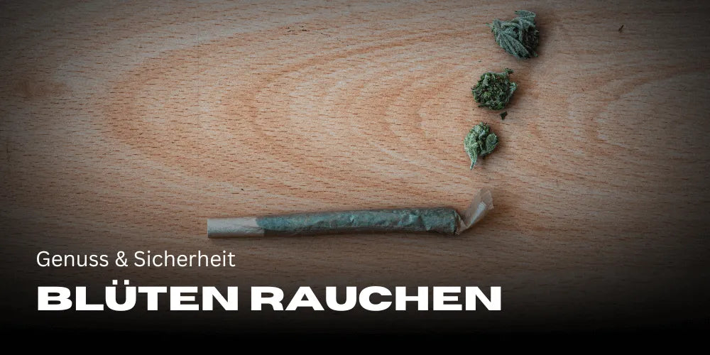 Fumar Bloemen de cannabis: placer y seguridad