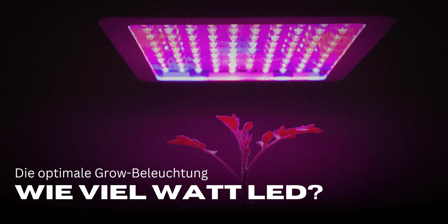 Combien de watts LED par m² ?