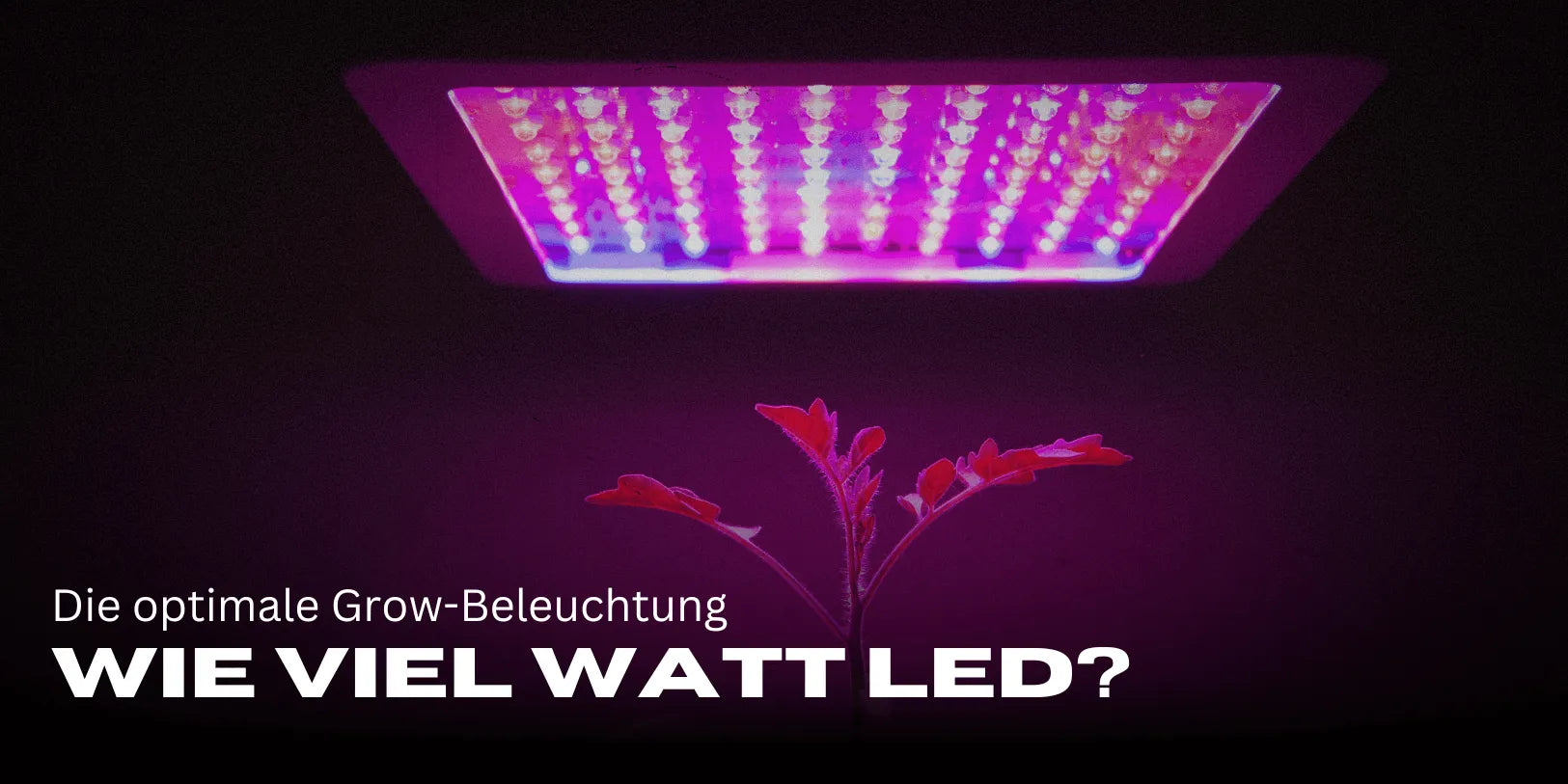 Quantos watts de LED por m²?