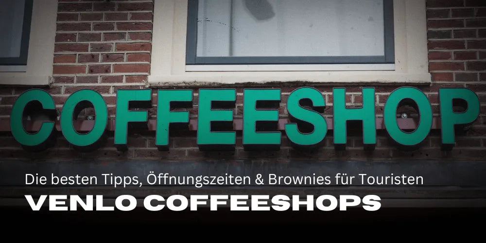 Coffeeshopuri în Venlo: Cele mai bune sfaturi, program și brownies cu canabis pentru turiști