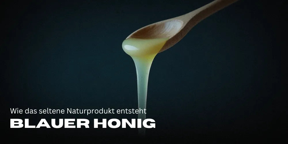 Blauwe honing: Hoe het zeldzame natuurproduct ontstaat en waarom het fascineert