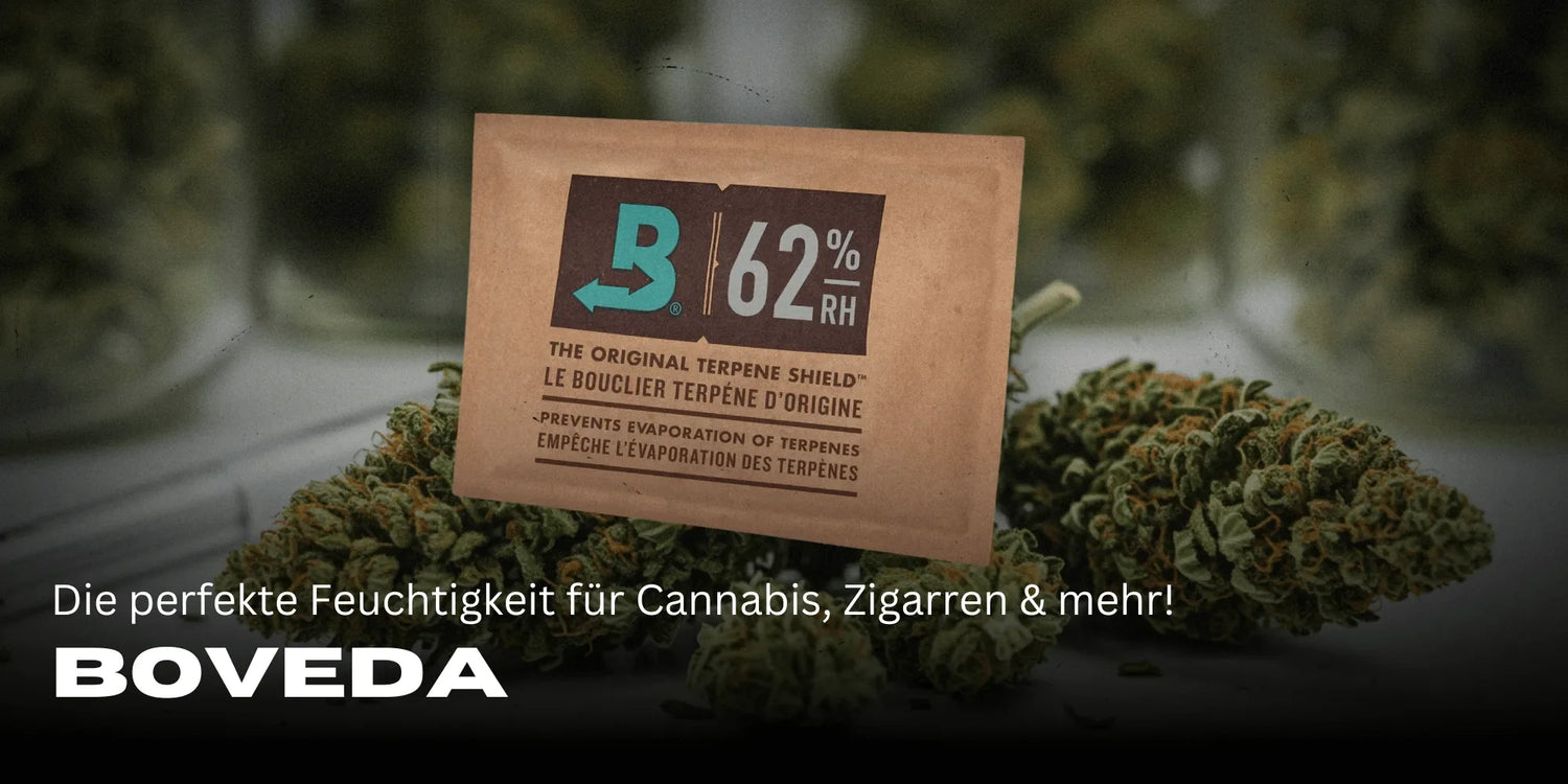 Como usar corretamente a Boveda: Guia para um controlo ótimo da humidade-Smagro GmbH