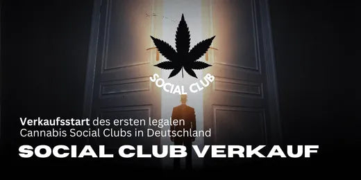 Le premier Cannabis Social Club légal en Allemagne commence la vente