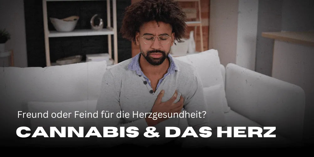 Cannabis and the Heart: Friend or Foe for Heart Health?