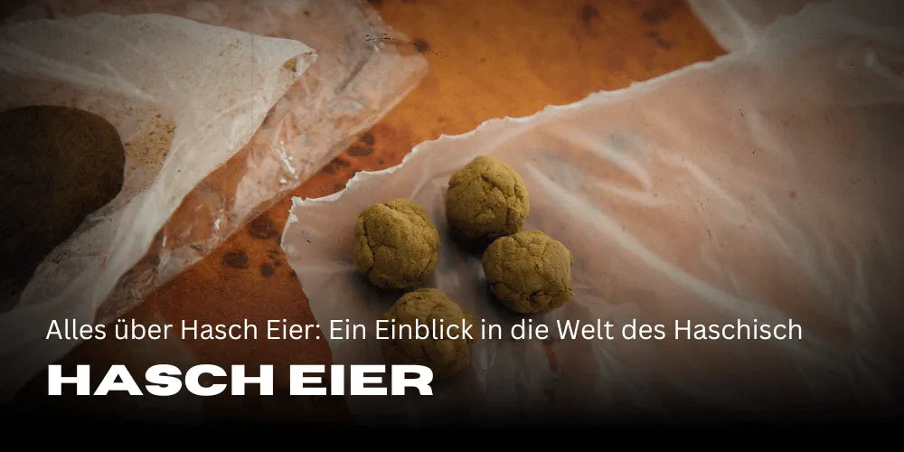 All about hash eggs: An insight into the world of hashish