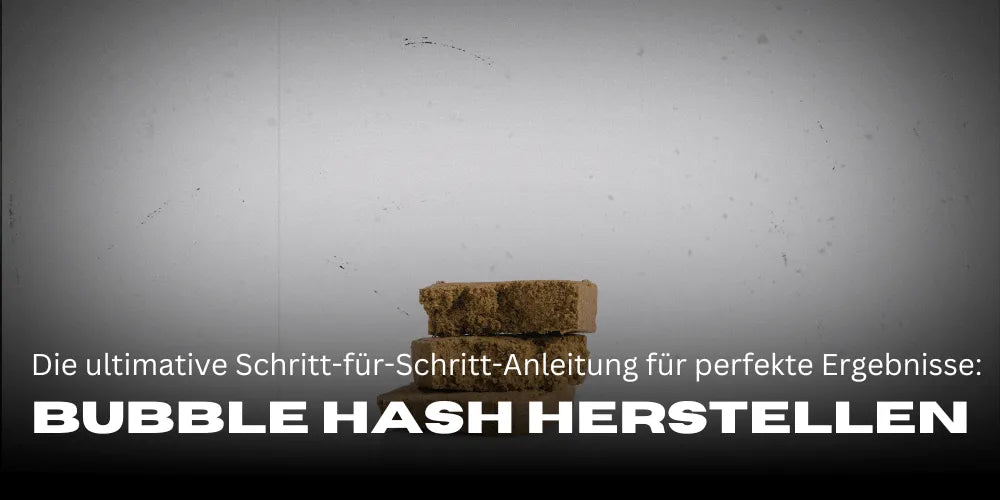 Bubble Hash maken: De ultieme stapsgewijze handleiding voor perfecte resultaten-Smagro GmbH
