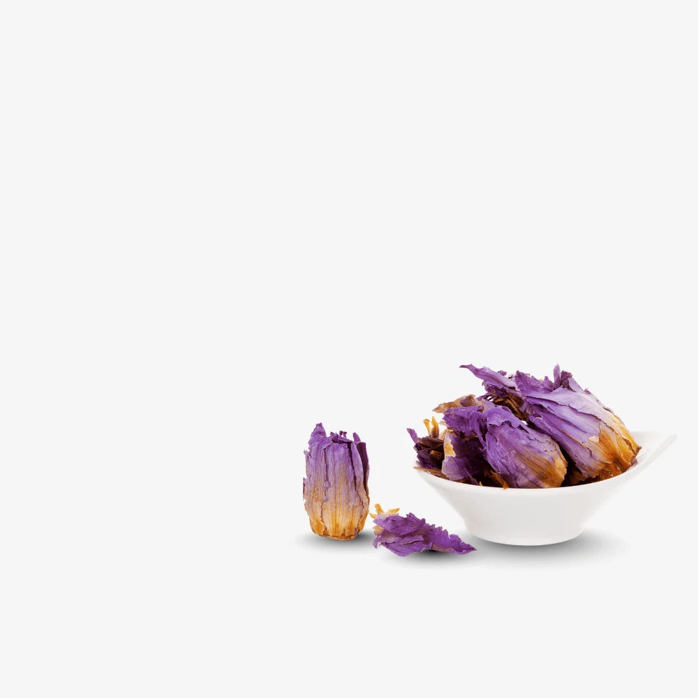 Blauer Lotus-Smagro GmbH