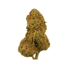 PHCP flower Candy Kush 13%